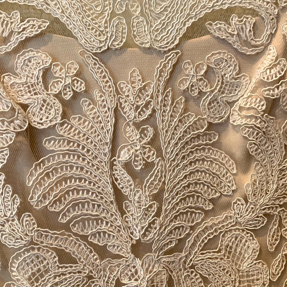 Taddash Shoji lace dress - Picture 3 of 4